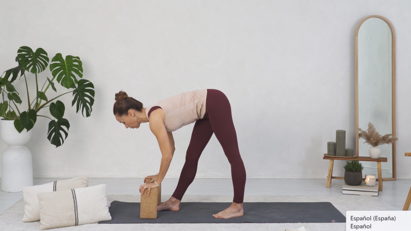 Creando hábitos saludables a través del yoga y el Mindfulness (X)